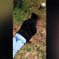 Israeli settlers violently attack foreign ‘solidarity activists’