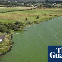 ‘Drinking from a fetid pond’: superbug-creating genes found in UK’s largest lake