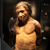 When we interbred with Neanderthals, they were usually the fathers