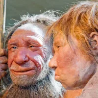 Genetic clues tell the story of Neanderthals' decline