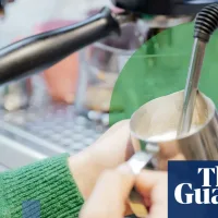 How green is your milk? We compare the environmental cost of dairy and plant-based options