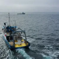 Ocean geoengineering trial finds no evidence of harm to marine life