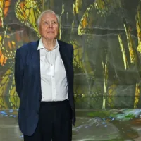 David Attenborough Turns 100: Wildlife Supremo Celebrated By King Charles III, Camila Cabello & Paddington Bear