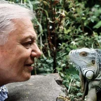 David Attenborough says he is 'overwhelmed' by 100th birthday messages