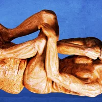 Ig Nobels ceremony moves to Europe over security concerns