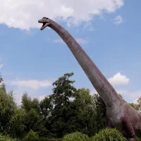Scientists compared dinosaurs to mammals for decades but missed this key difference