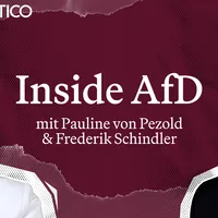 Wie Filz und Vetternwirtschaft die AfD im Bund erschüttern