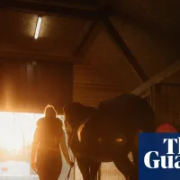 Mare by Emily Haworth-Booth review – profound story of a woman’s love for a horse
