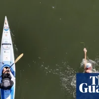 Ultramarathon swimmer sets record pace over 55km in crocodile-filled Australian river