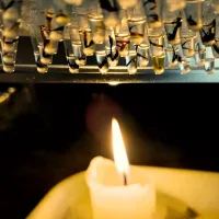 Half of Amazon insects could face dangerous heat stress