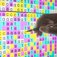 Powerful tools are revealing the ‘control knobs’ of the genome